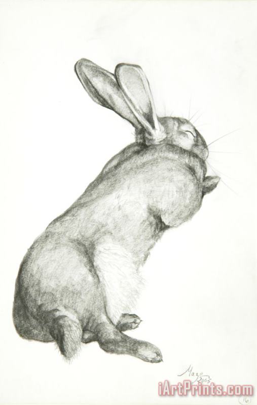 Rabbit Sleeping painting - Jeanne Maze Rabbit Sleeping Art Print