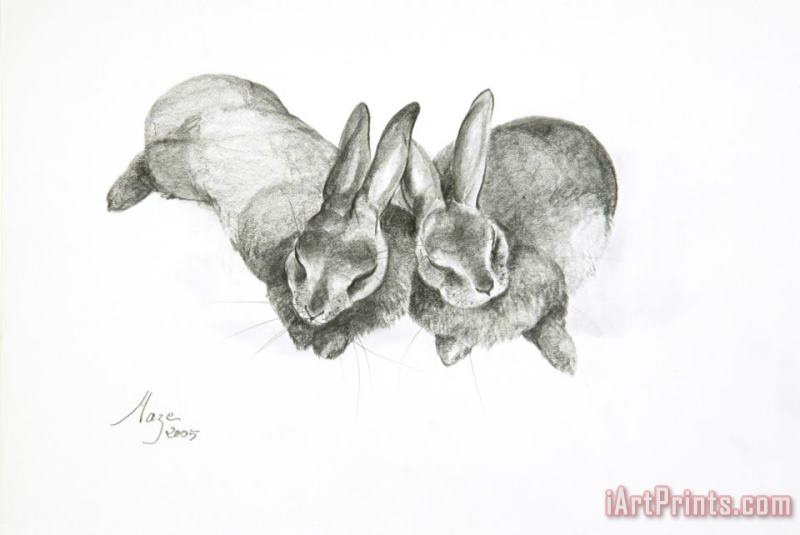 Rabbits Sleeping painting - Jeanne Maze Rabbits Sleeping Art Print