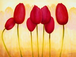 Jerome Lawrence Tulips are People XV h