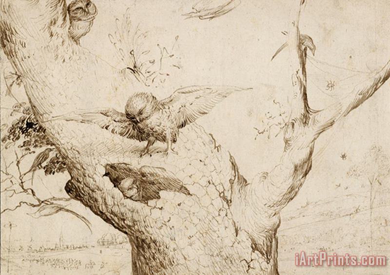 The Owl's Nest painting - Jheronimus Bosch The Owl's Nest Art Print