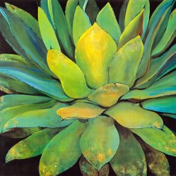 Still Life Art for sale - Agave by Jillian David