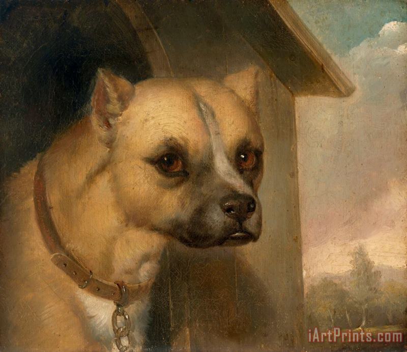 J.m. Crossland Staffordshire Bull Terrier Belonging to The Rev. John Gower Art Print