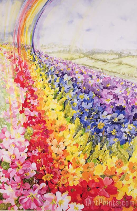 Primrose Rainbow painting - Joan Thewsey Primrose Rainbow Art Print