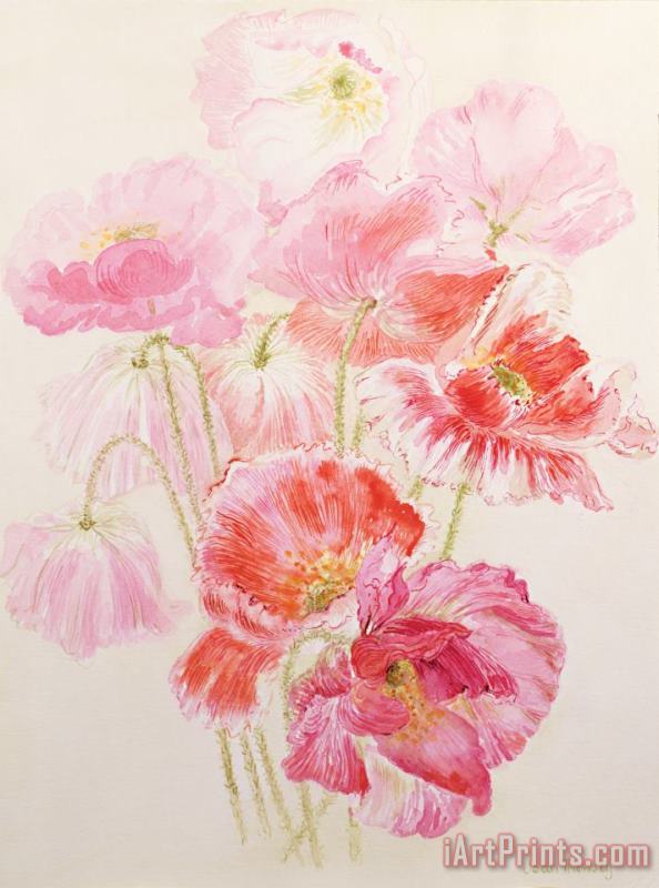 Joan Thewsey Shirley Poppies Art Painting