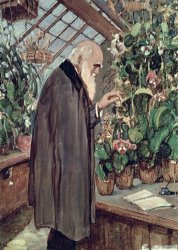 John Collier Charles Robert Darwin painting