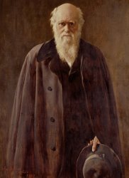 John Collier Portrait Of Charles Darwin painting