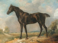 John Constable Golding Constable's Black Riding Horse painting
