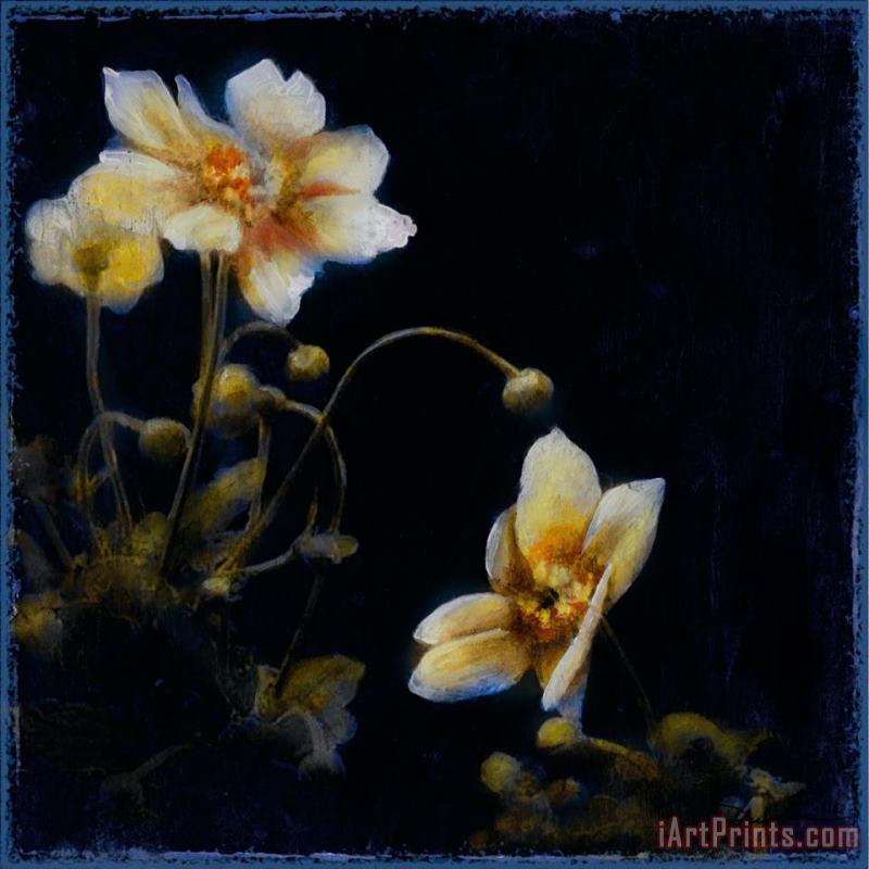 John Douglas Midsummer Night Bloom III Art Print