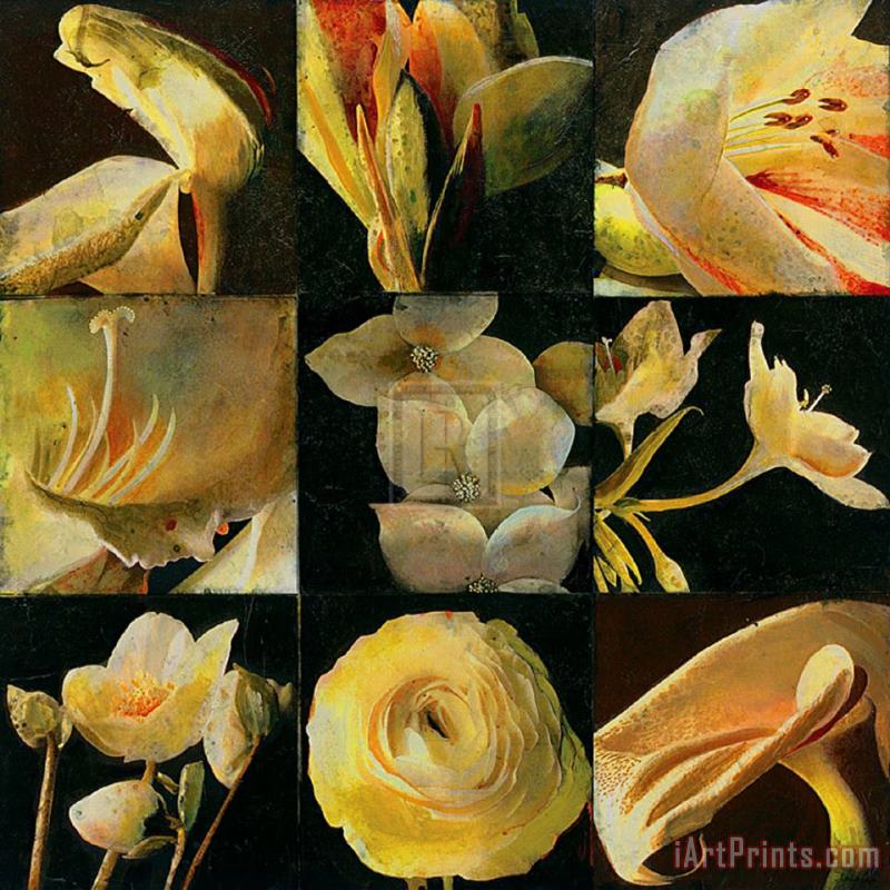 John Douglas Mirrored Blossoms I Art Print