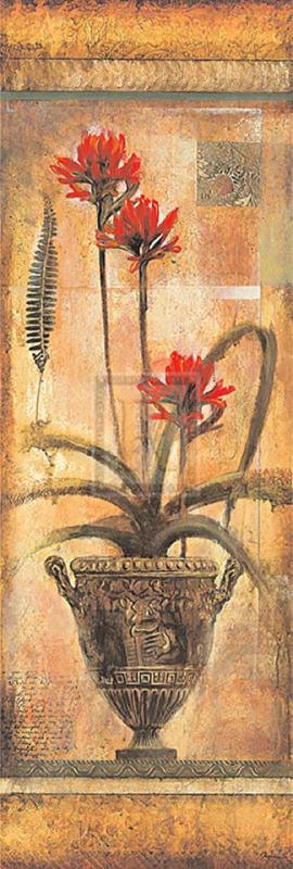 Rojo Botanical Vii painting - John Douglas Rojo Botanical Vii Art Print