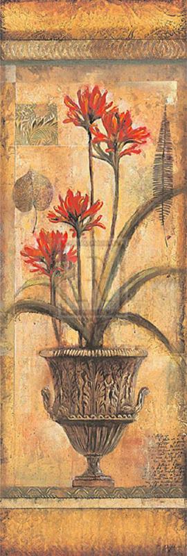 Rojo Botanical Viii painting - John Douglas Rojo Botanical Viii Art Print