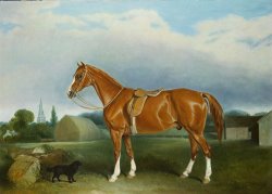 John E Ferneley A Chestnut Hunter and a Spaniel by Farm Buildings