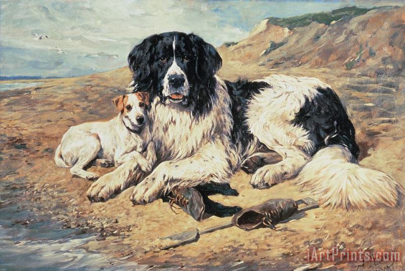 Dogs Watching Bathers painting - John Emms Dogs Watching Bathers Art Print