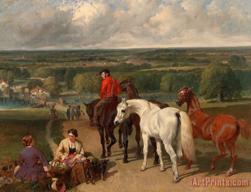 Exercising The Royal Horses painting - John Frederick Herring Exercising The Royal Horses Art Print