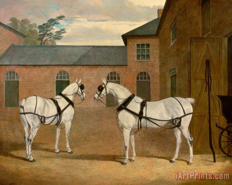 Grey Carriage Horses in The Coachyard at Putteridge Bury, Hertfordshire painting - John Frederick Herring Grey Carriage Horses in The Coachyard at Putteridge Bury, Hertfordshire Art Print