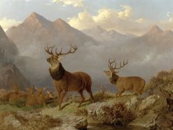 John Frederick Herring Jnr Stags And Hinds In A Highland Landscape painting