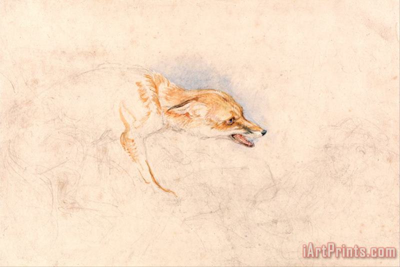 Study of a Crouching Fox, Facing Right painting - John Frederick Lewis Study of a Crouching Fox, Facing Right Art Print