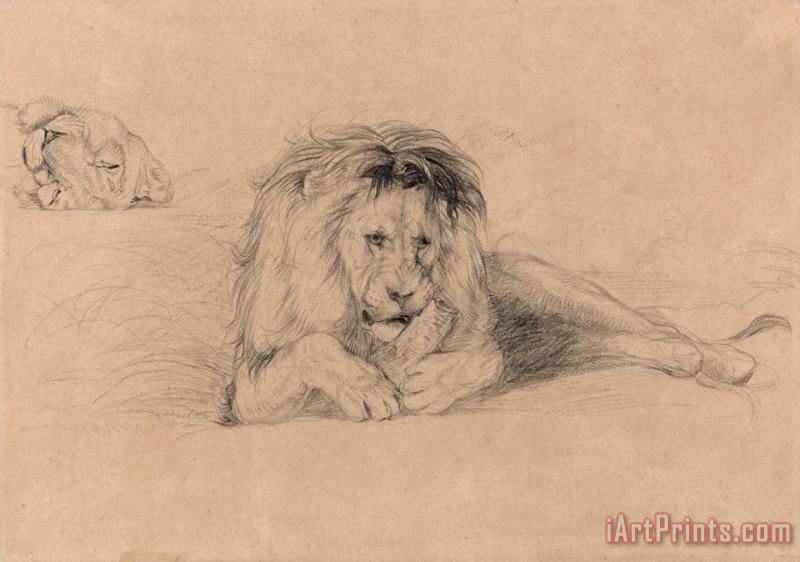 John Frederick Lewis Study of a Lion And Study of a Lioness' Head Art Painting