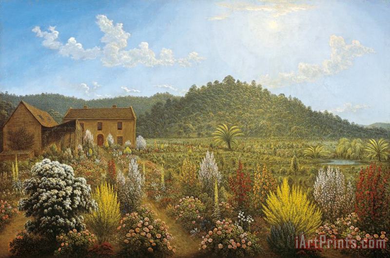 A View of The Artist's House And Garden, in Mills Plains, Van Diemen's Land painting - John Glover A View of The Artist's House And Garden, in Mills Plains, Van Diemen's Land Art Print