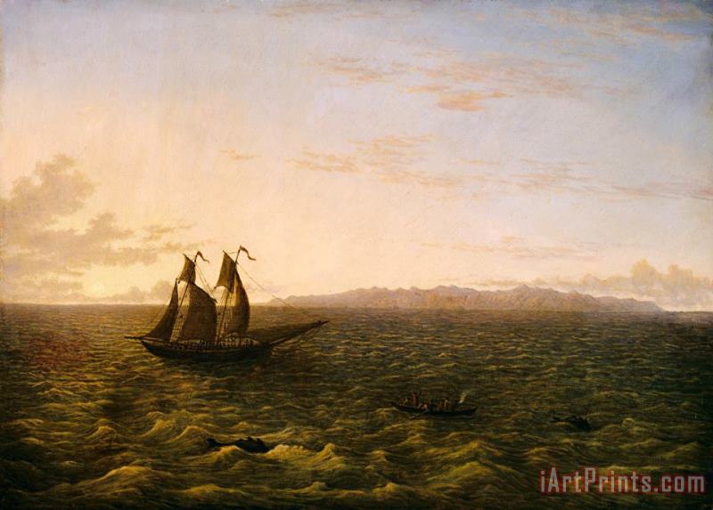 The Island of Madeira painting - John Glover The Island of Madeira Art Print