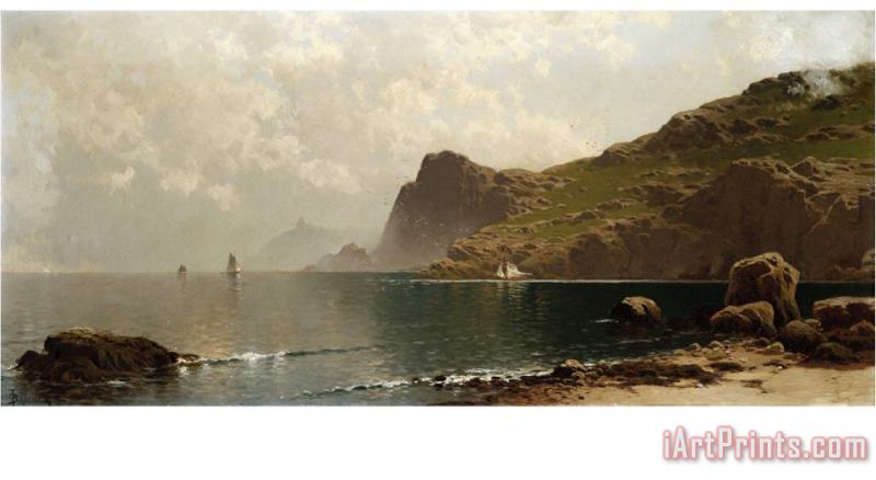John James Audubon Mist Rising Off The Coast Art Print