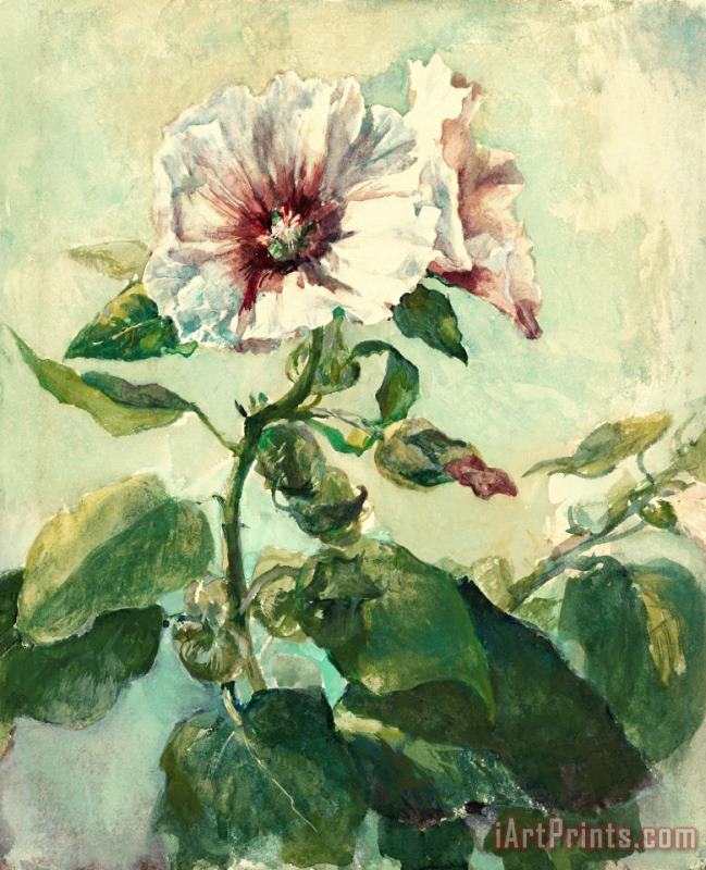 Study of Pink Hollyhocks in Sunlight, From Nature painting - John LaFarge Study of Pink Hollyhocks in Sunlight, From Nature Art Print