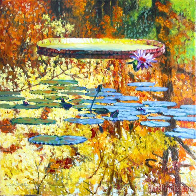 Fall Colors on the Lily Pond painting - John Lautermilch Fall Colors on the Lily Pond Art Print