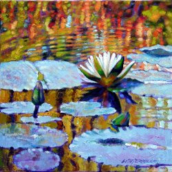 John Lautermilch Fall Ripples