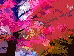 John Lautermilch Fall Splendor
