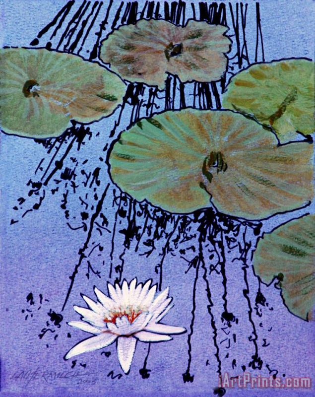 Floating White Lily painting - John Lautermilch Floating White Lily Art Print