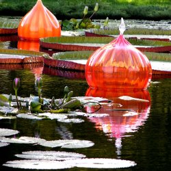 John Lautermilch Glass Lilies and Light painting