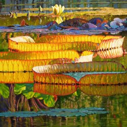 John Lautermilch Glorious Morning Lilies painting
