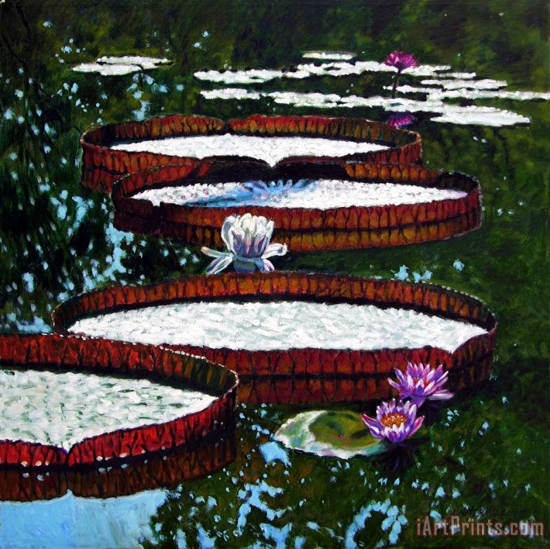 Lily Pad Highlights painting - John Lautermilch Lily Pad Highlights Art Print