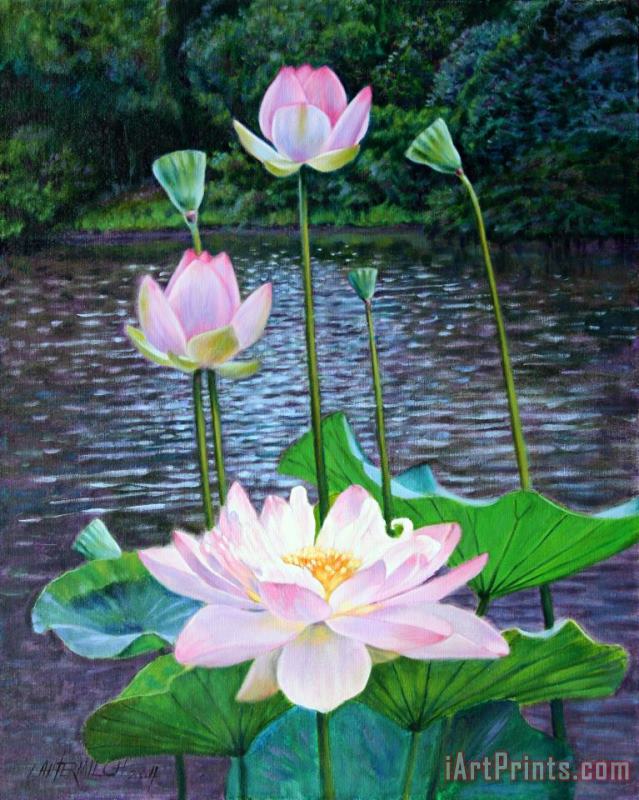 Lotus painting - John Lautermilch Lotus Art Print