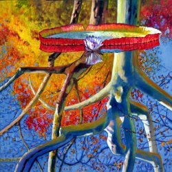 John Lautermilch Missouri Sycamore Reflections