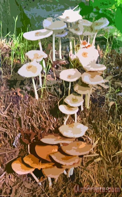 John Lautermilch Mushrooms In A Haystack Art Print