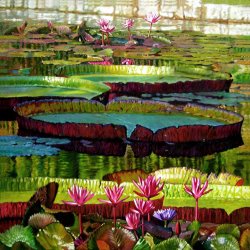 John Lautermilch Patterns of Shadow and Sunlight