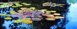 John Lautermilch Peace Among the Lilies painting