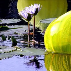 John Lautermilch Purple Petals and Glass