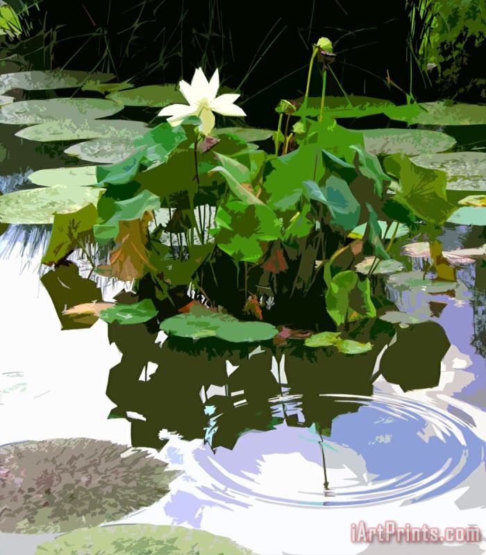 John Lautermilch Ripples on the Lotus Pond Art Painting