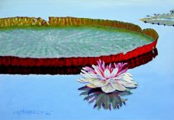 John Lautermilch Stillness