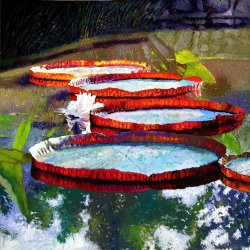 John Lautermilch Summer Sunlight on Lily Pads