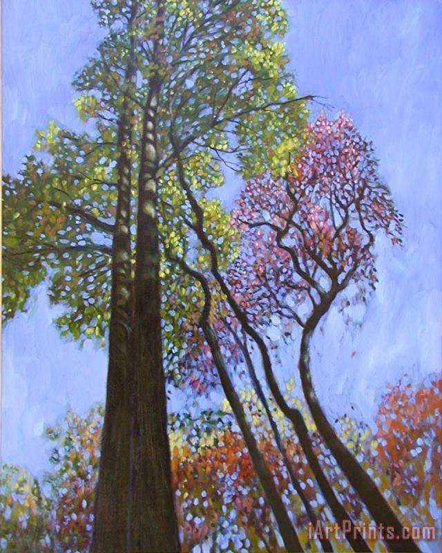 Sunlight On Upper Branches painting - John Lautermilch Sunlight On Upper Branches Art Print