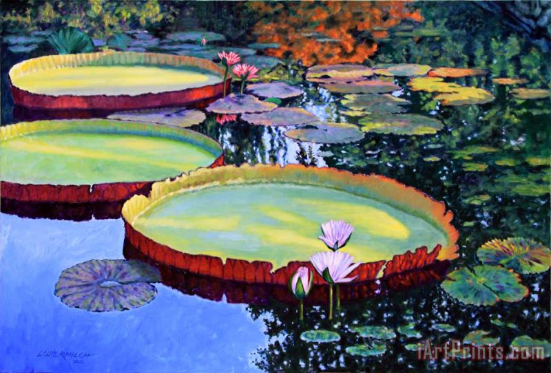Sunspots on Lily Pond painting - John Lautermilch Sunspots on Lily Pond Art Print