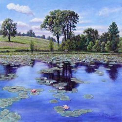 John Lautermilch Wet Land - Shaw Nature Reserve