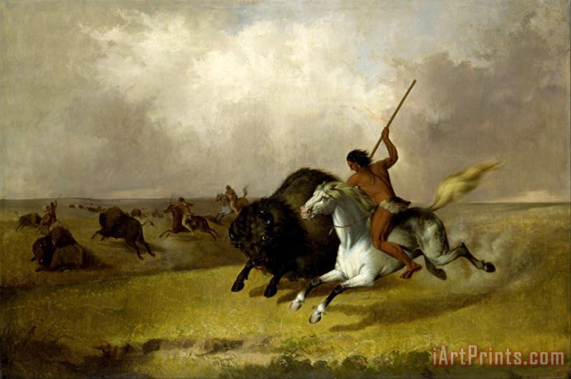 John Mix Stanley Buffalo Hunt on The Southwestern Prairies Art Painting