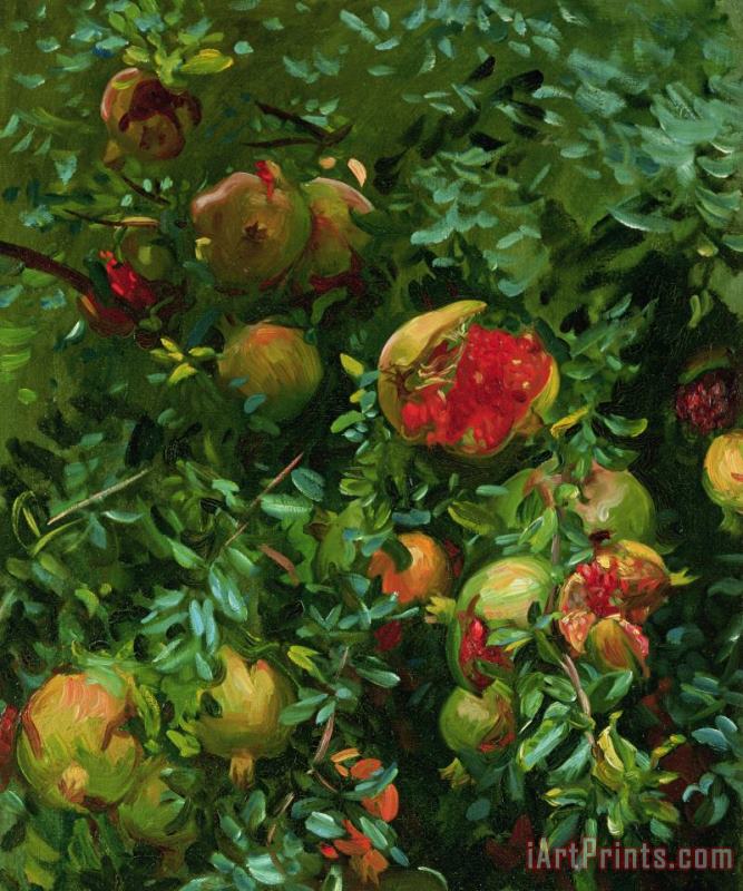 Pomegranates Majorca painting - John Singer Sargent Pomegranates Majorca Art Print