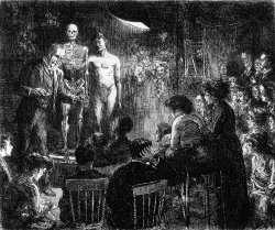 John Sloan Anschultz on Anatomy