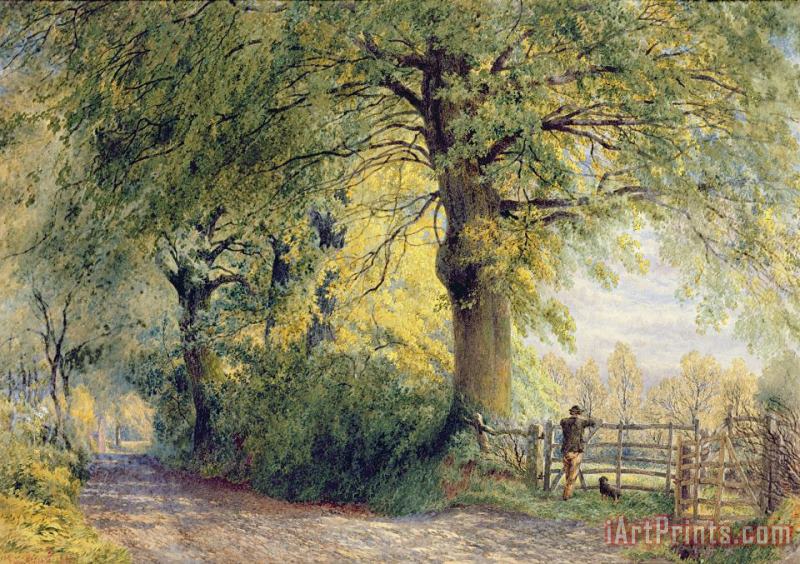Under the Beeches painting - John Steeple Under the Beeches Art Print
