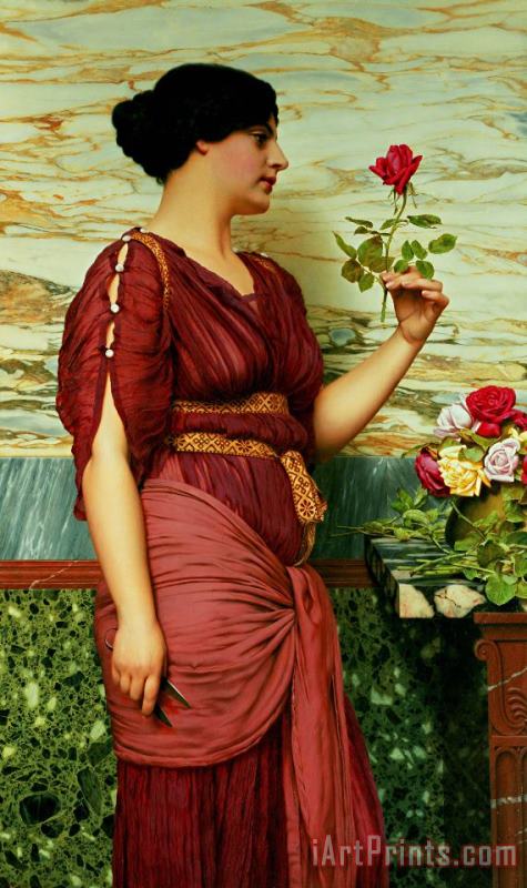 A Red Rose painting - John William Godward A Red Rose Art Print